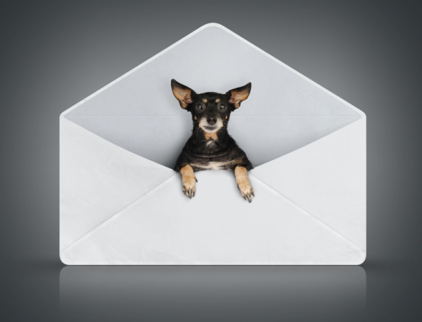 Γράμμα στο σκύλο σας.