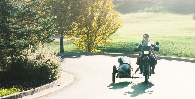 2647160-R3L8T8D-650-Joelbear_Discovery_Colorado_2015_1674-e1443065265671