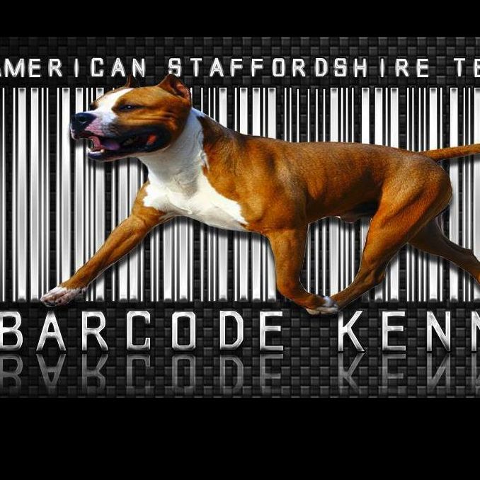 BARCODE KENNEL