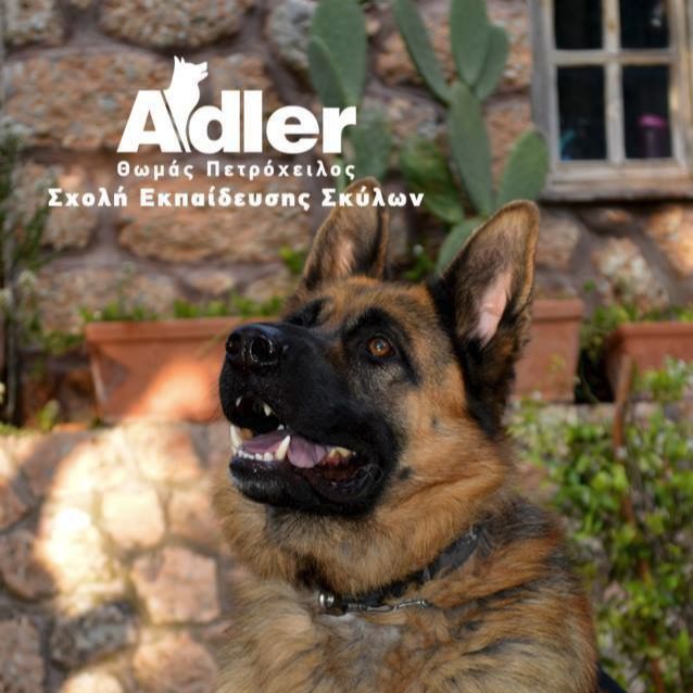 ADLER
