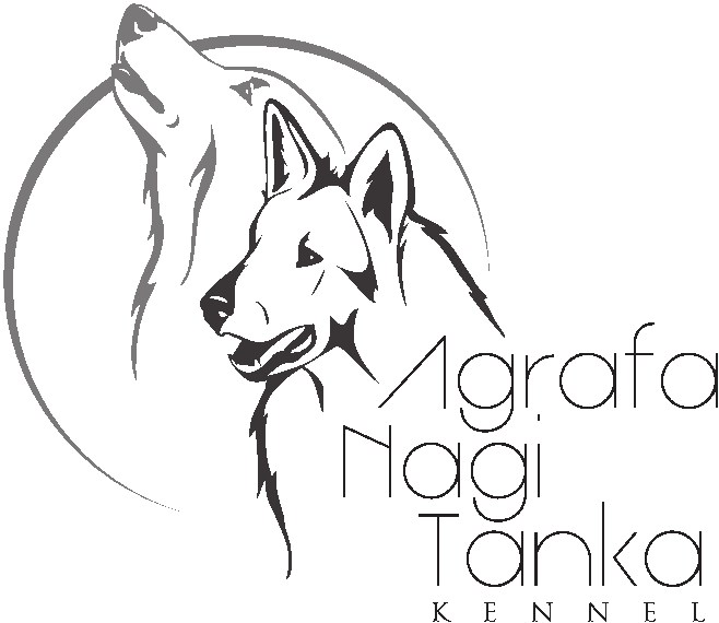 Agrafa nagi tanka