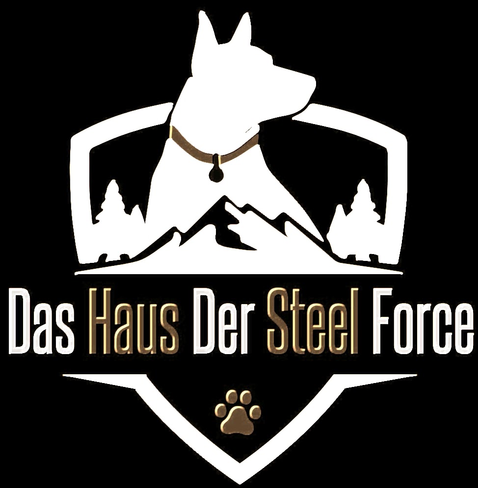 Das Haus Der Steel Force