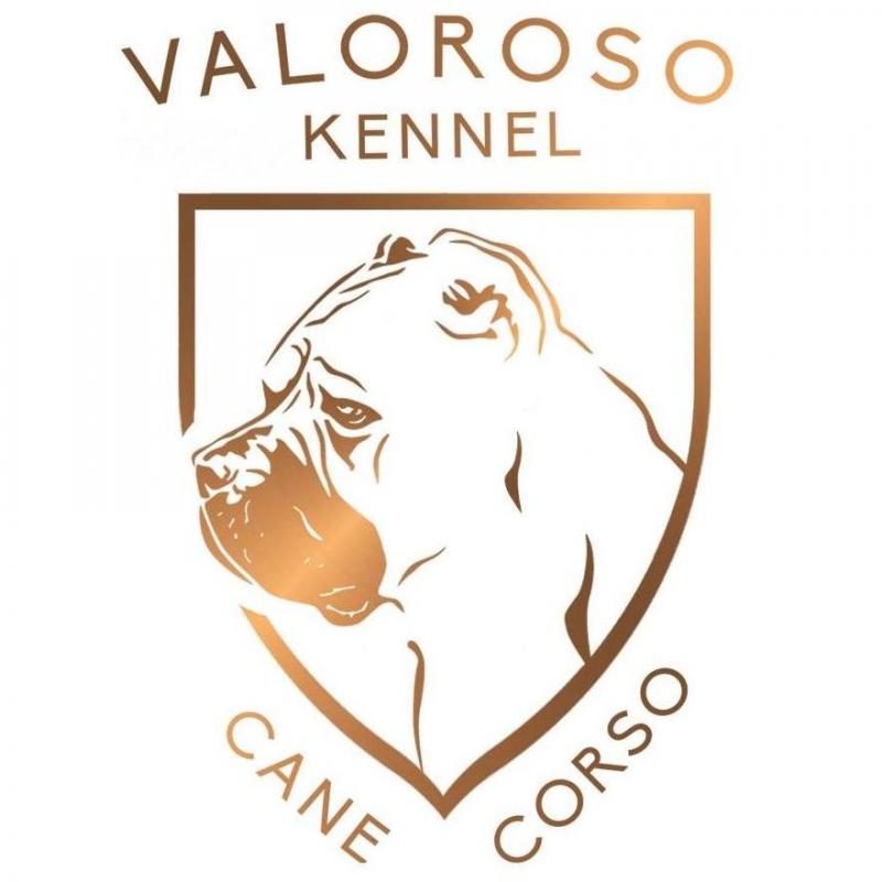 VALOROSO KENNEL