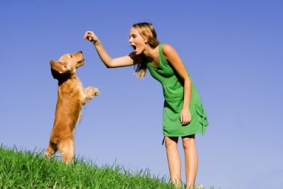 Εκπαιδεύστε το σκύλο σας να σας δίνει το χέρι του όταν του το ζητάτε