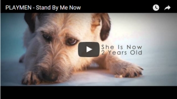 «Στάσου δίπλα μου τώρα»: Το νέο τραγούδι των Playmen αφιερωμένο στα ζώα χωρίς οικογένεια