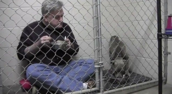 Κτηνίατρος κλείστηκε σε κλουβί με κακοποιημένη σκυλίτσα για να την πείσει να φάει (Βίντεο)