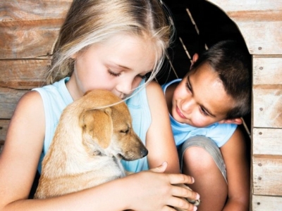 Οι 10 δημοφιλέστερες ράτσες σκύλων ιδανικές για παιδιά