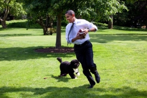 Bo Obama! Ο διάσημος σκύλος του Obama!