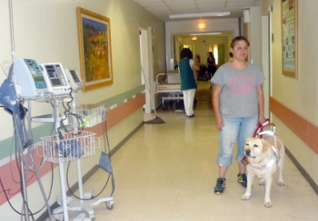Ελλάδα: Ο πρώτος σκύλος - οδηγός σε δημόσιο νοσοκομείο!