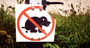Ισπανία: Δε μαζέψατε τα περιττώματα του σκύλου σας; Σας τα στέλνουμε σπίτι σας με courier!