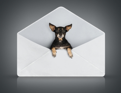 Γράμμα στο σκύλο σας.