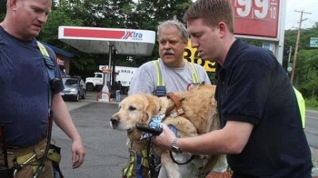 Σκύλος-οδηγός έσωσε την τυφλή ιδιοκτήτρια του