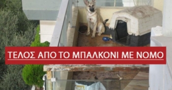ΤΕΛΟΣ,τα σκυλιά στο μπαλκόνι – ΔΕΙΤΕ τι μας λέει ο νέος νόμος για τα κατοικίδια και ποια είναι τα πρόστιμα.