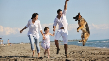 Pet Friendly διακοπές: προορισμοί, ξενοδοχεία, tips