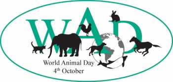 Σήμερα γιορτάζουμε την Παγκόσμια Ημέρα των Ζώων!!