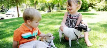 Γιατί ο σκύλος στο σπίτι μειώνει τον κίνδυνο άσθματος στα παιδιά